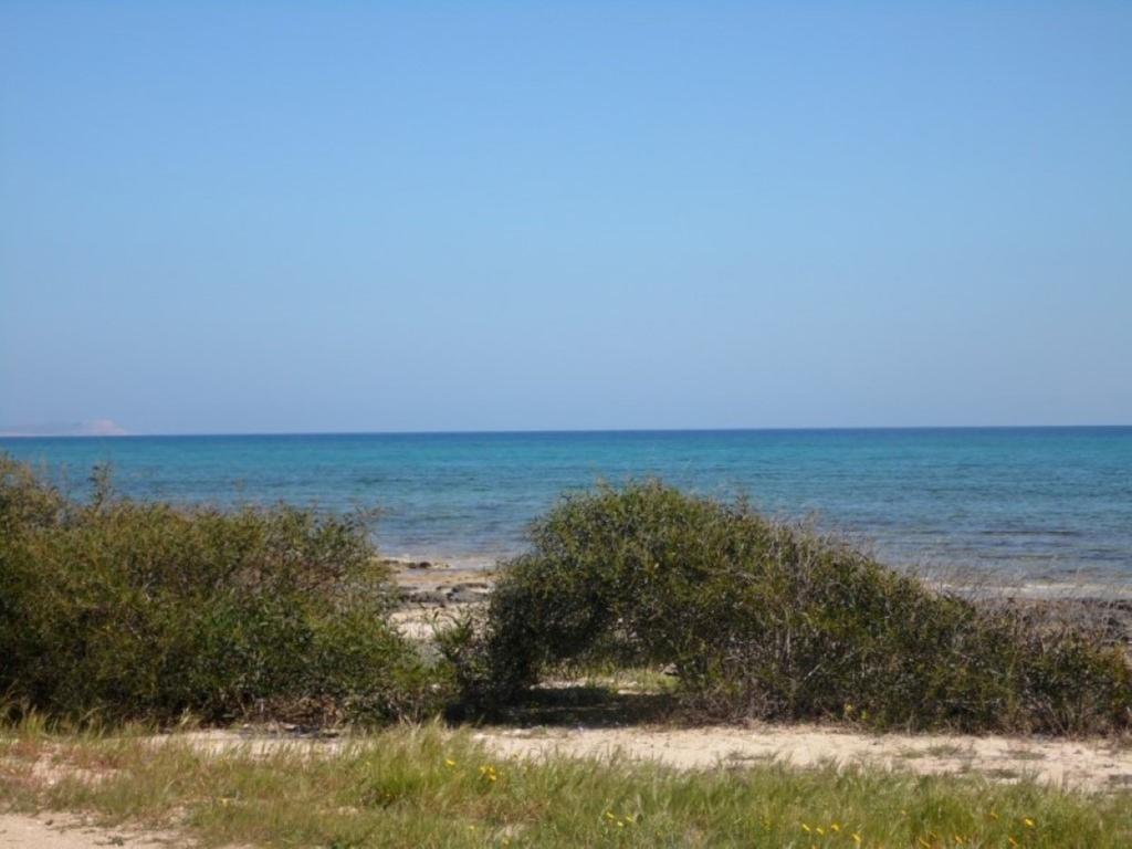 Villa Alexandra Ayia Napa Exterior foto
